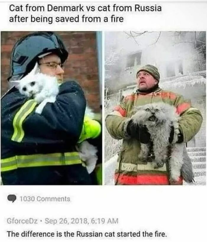 89 Funny And Adorable Animal Memes That Fight Sadness And Boredom With 100% Efficiency