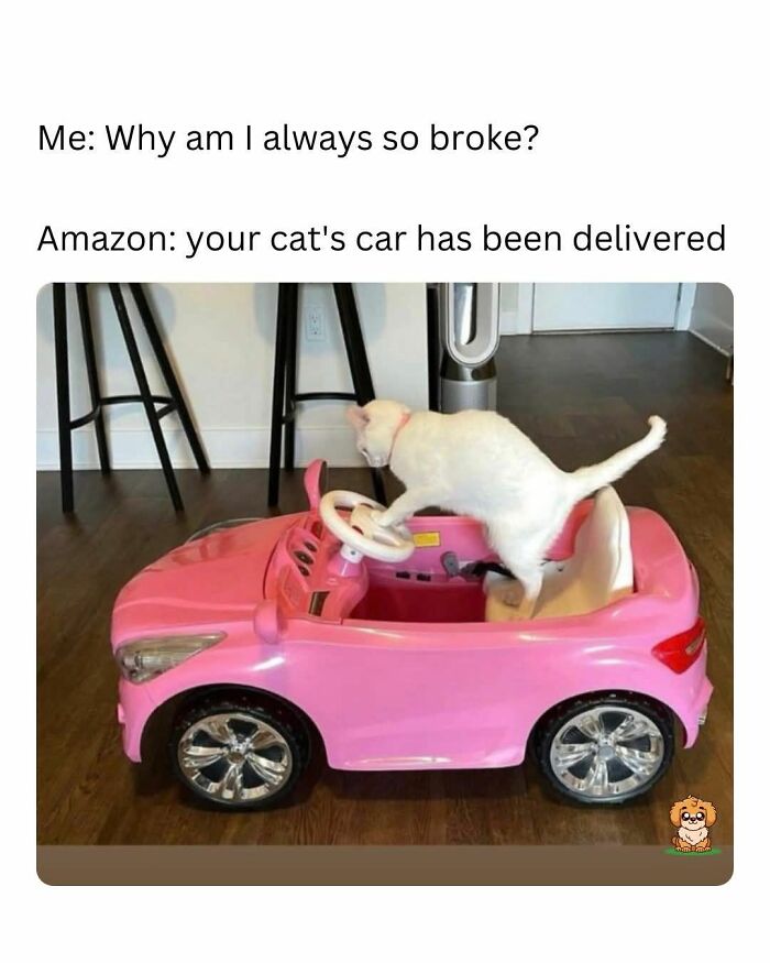 89 Funny And Adorable Animal Memes That Fight Sadness And Boredom With 100% Efficiency