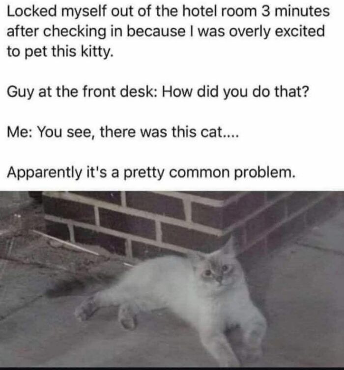 89 Funny And Adorable Animal Memes That Fight Sadness And Boredom With 100% Efficiency