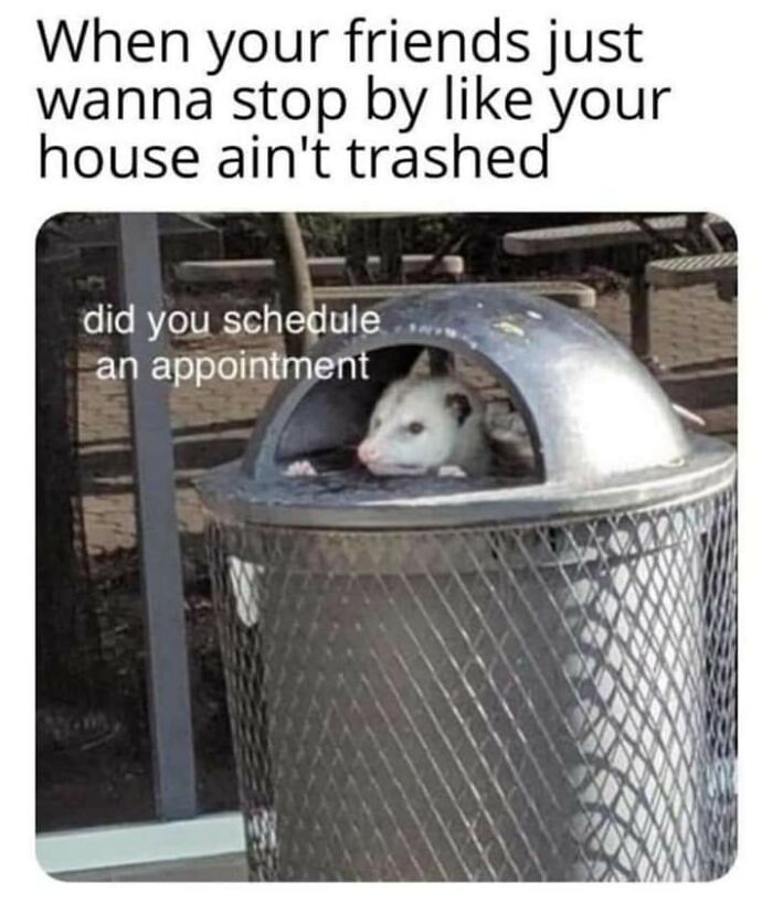89 Funny And Adorable Animal Memes That Fight Sadness And Boredom With 100% Efficiency