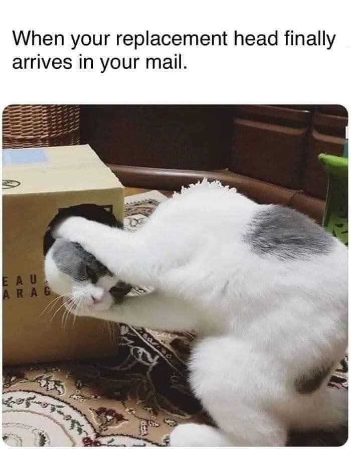 89 Funny And Adorable Animal Memes That Fight Sadness And Boredom With 100% Efficiency
