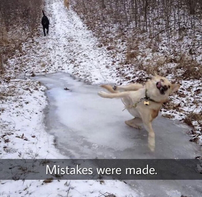 56 Hilarious Photos People Managed To Take Before Disaster Struck 56 Hilarious Photos People Managed To Take Before Disaster Struck