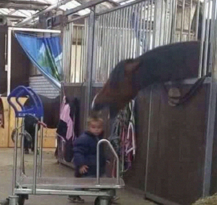 56 Hilarious Photos People Managed To Take Before Disaster Struck 56 Hilarious Photos People Managed To Take Before Disaster Struck
