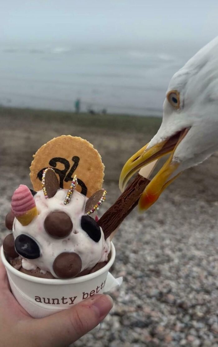 56 Hilarious Photos People Managed To Take Before Disaster Struck 56 Hilarious Photos People Managed To Take Before Disaster Struck