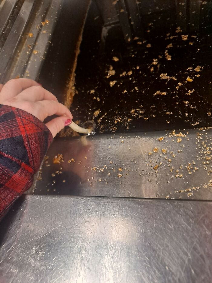 56 Hilarious Photos People Managed To Take Before Disaster Struck 56 Hilarious Photos People Managed To Take Before Disaster Struck