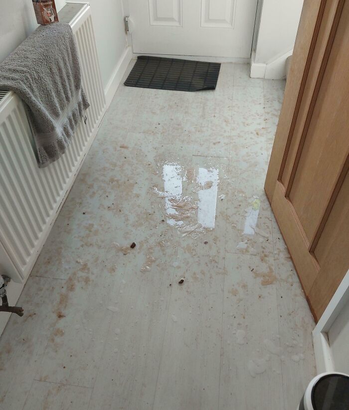 123 Mildly Infuriating Things That Tested People’s Patience (New Pics) 123 Mildly Infuriating Things That Tested People’s Patience (New Pics)