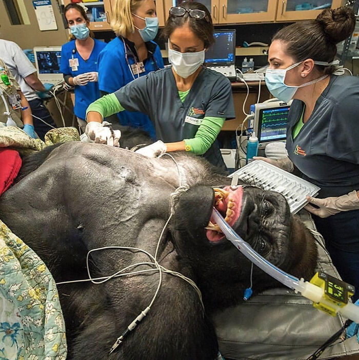 96 Jobs That Should Pay More Based On These Creepy And Unsettling Photos That Workers Took (New Pics) 96 Jobs That Should Pay More Based On These Creepy And Unsettling Photos That Workers Took (New Pics)