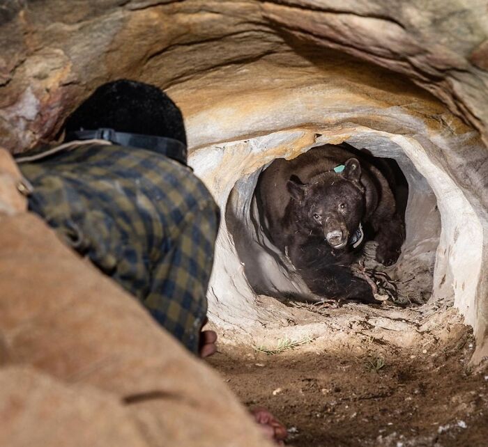 96 Jobs That Should Pay More Based On These Creepy And Unsettling Photos That Workers Took (New Pics) 96 Jobs That Should Pay More Based On These Creepy And Unsettling Photos That Workers Took (New Pics)