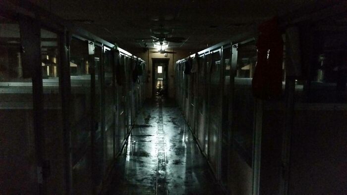 96 Jobs That Should Pay More Based On These Creepy And Unsettling Photos That Workers Took (New Pics) 96 Jobs That Should Pay More Based On These Creepy And Unsettling Photos That Workers Took (New Pics)