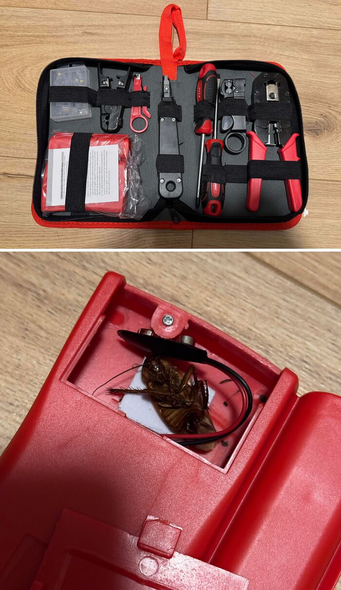 75 Times Careless Online Shopping Backfired In The Most Hilarious Ways (New Pics) 75 Times Careless Online Shopping Backfired In The Most Hilarious Ways (New Pics)