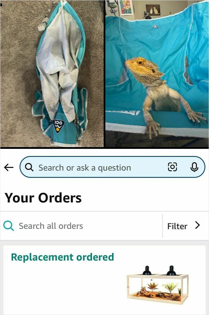 75 Times Careless Online Shopping Backfired In The Most Hilarious Ways (New Pics) 75 Times Careless Online Shopping Backfired In The Most Hilarious Ways (New Pics)