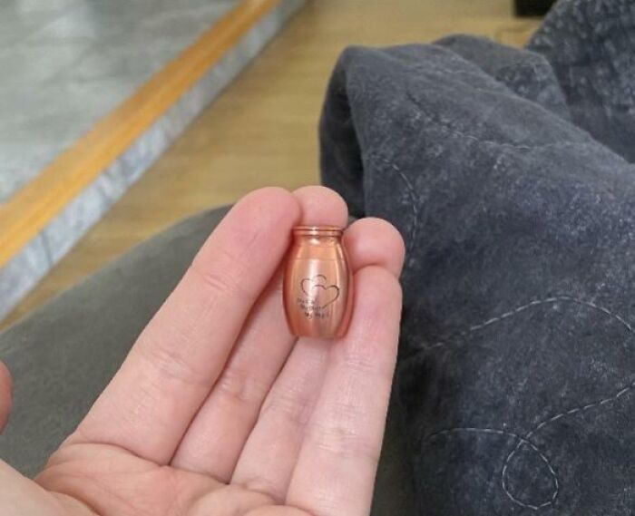 75 Times Careless Online Shopping Backfired In The Most Hilarious Ways (New Pics) 75 Times Careless Online Shopping Backfired In The Most Hilarious Ways (New Pics)