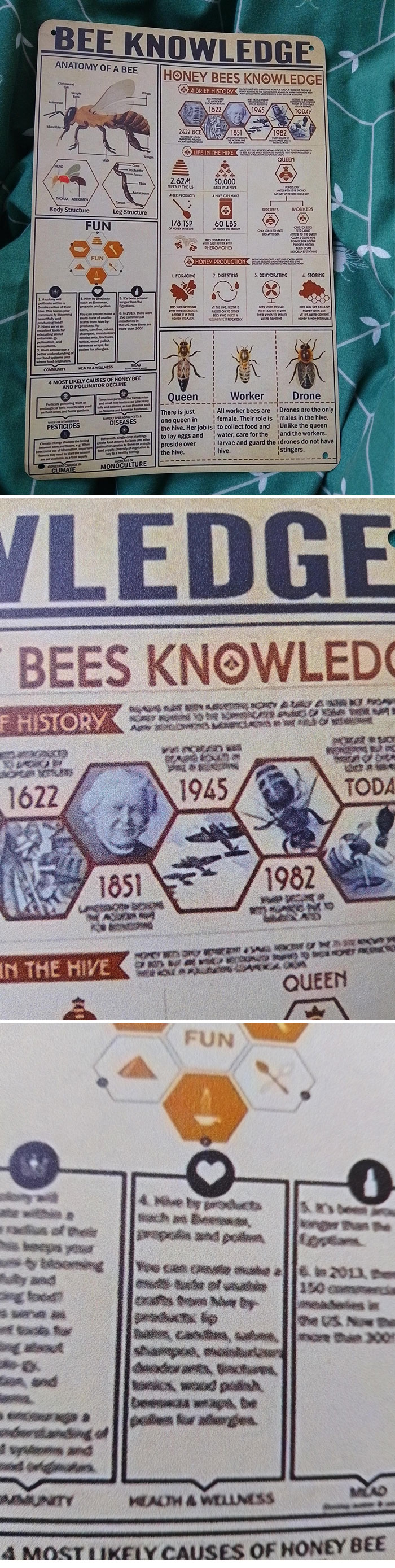 75 Times Careless Online Shopping Backfired In The Most Hilarious Ways (New Pics) 75 Times Careless Online Shopping Backfired In The Most Hilarious Ways (New Pics)