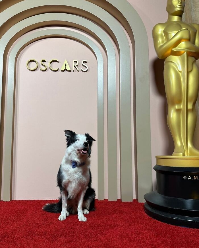 Reader’s Vote: Rank 2024 Pop Culture Moments That Caught You Off Guard The Most Reader’s Vote: Rank 2024 Pop Culture Moments That Caught You Off Guard The Most
