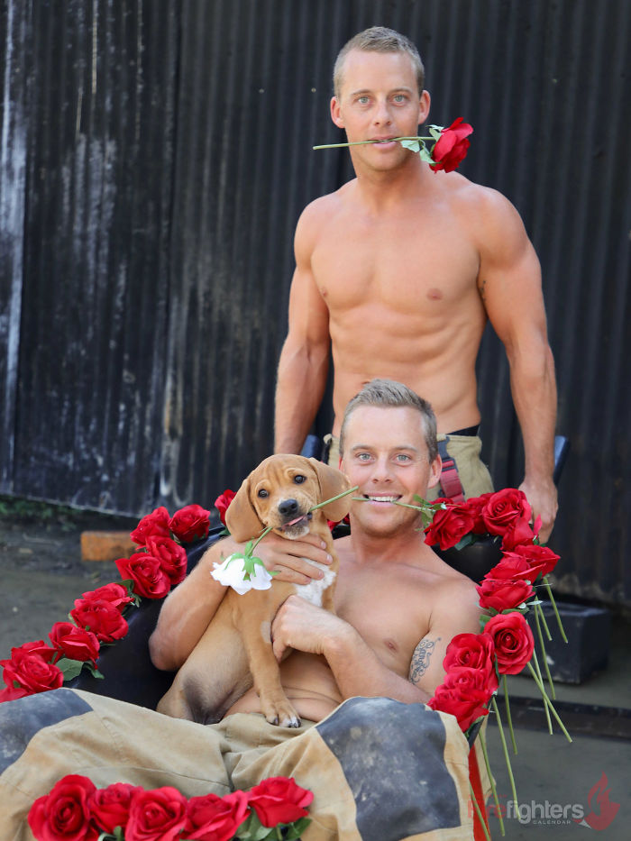 These 50 Photos Of Australian Firefighters With Dogs Are The Perfect Mix Of Cute And Heroic These 50 Photos Of Australian Firefighters With Dogs Are The Perfect Mix Of Cute And Heroic