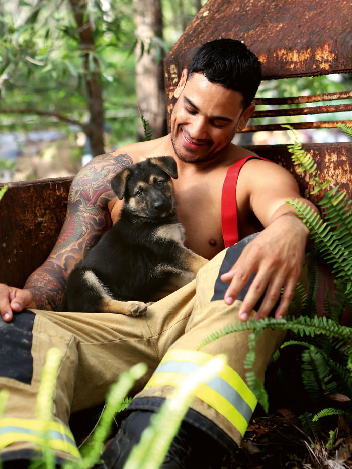 These 50 Photos Of Australian Firefighters With Dogs Are The Perfect Mix Of Cute And Heroic These 50 Photos Of Australian Firefighters With Dogs Are The Perfect Mix Of Cute And Heroic