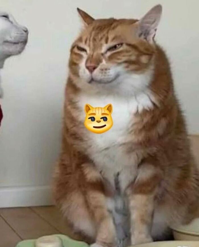 28 Times Animals Were Both Wholesome And Ridiculously Funny, Shared In This Facebook Group (New Pics)