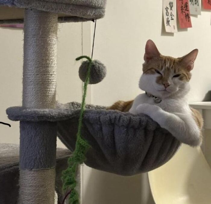 28 Times Animals Were Both Wholesome And Ridiculously Funny, Shared In This Facebook Group (New Pics)