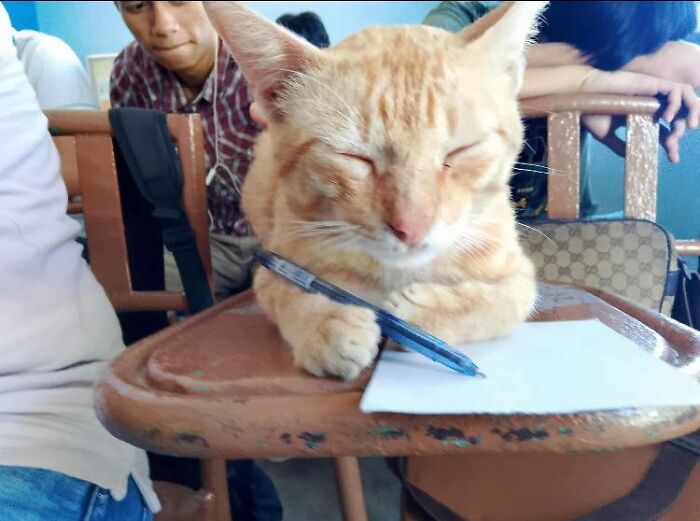 28 Times Animals Were Both Wholesome And Ridiculously Funny, Shared In This Facebook Group (New Pics)
