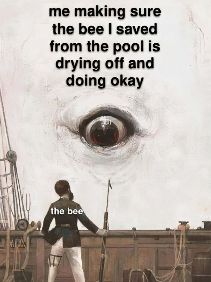 80 Chaotic Images Where “Things Only Get Weirder” The Longer You Look (New Pics) 80 Chaotic Images Where “Things Only Get Weirder” The Longer You Look (New Pics)