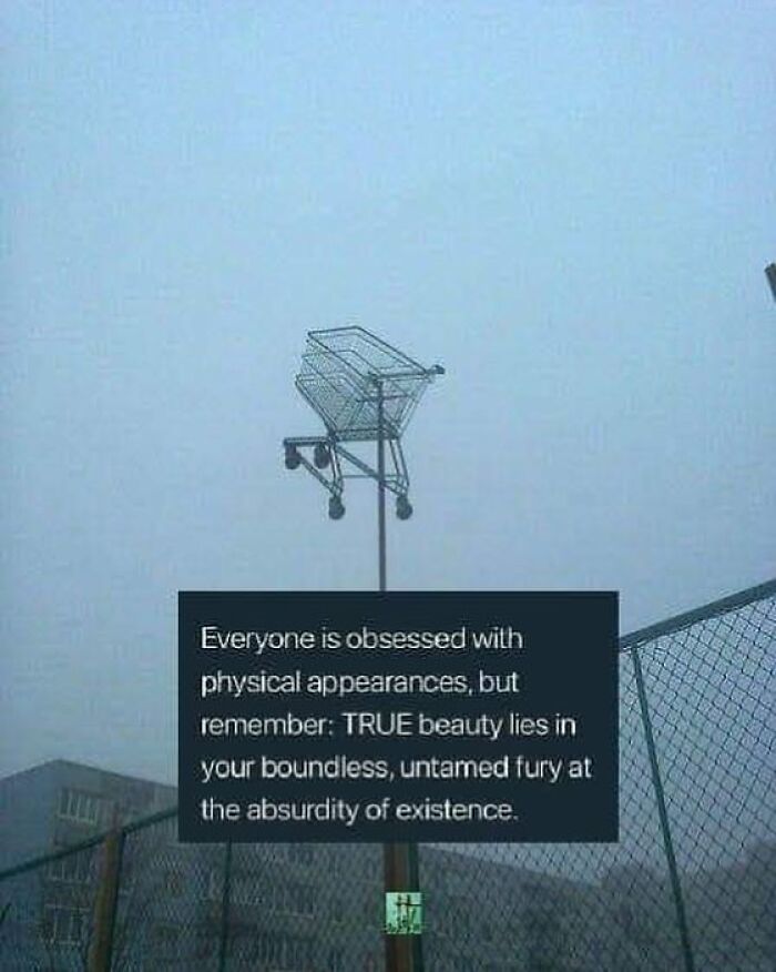 80 Chaotic Images Where “Things Only Get Weirder” The Longer You Look (New Pics) 80 Chaotic Images Where “Things Only Get Weirder” The Longer You Look (New Pics)