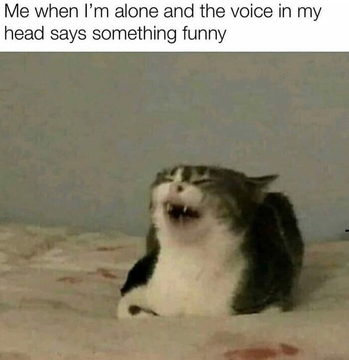 80 Hilarious And Relatable Posts From “Sky Babe Memes” 80 Hilarious And Relatable Posts From “Sky Babe Memes”