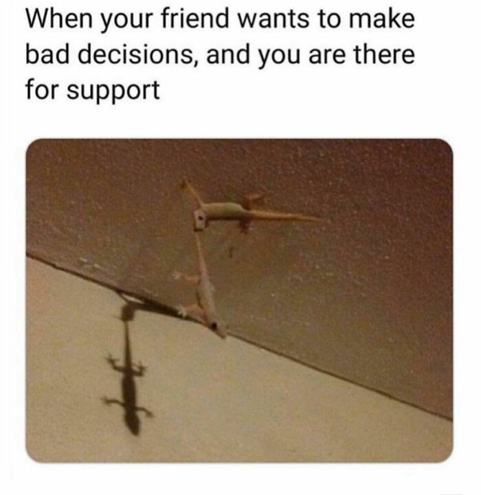 80 Hilarious And Relatable Posts From “Sky Babe Memes” 80 Hilarious And Relatable Posts From “Sky Babe Memes”