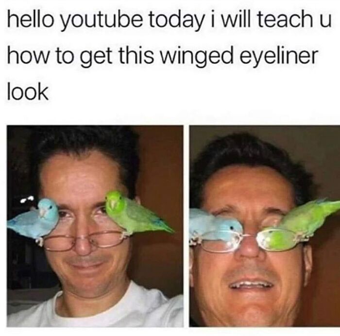 80 Hilarious And Relatable Posts From “Sky Babe Memes” 80 Hilarious And Relatable Posts From “Sky Babe Memes”