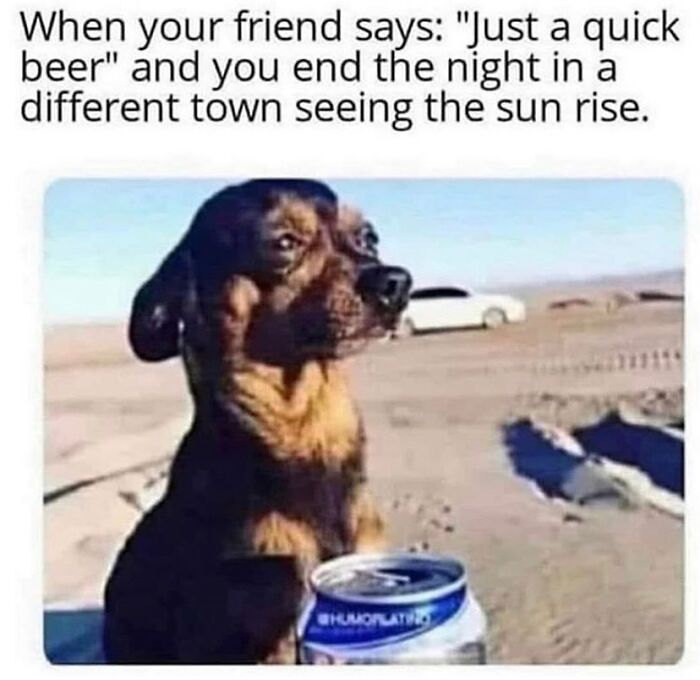 80 Hilarious And Relatable Posts From “Sky Babe Memes” 80 Hilarious And Relatable Posts From “Sky Babe Memes”
