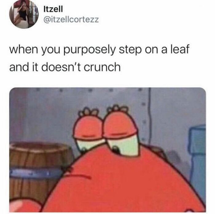 80 Hilarious And Relatable Posts From “Sky Babe Memes” 80 Hilarious And Relatable Posts From “Sky Babe Memes”