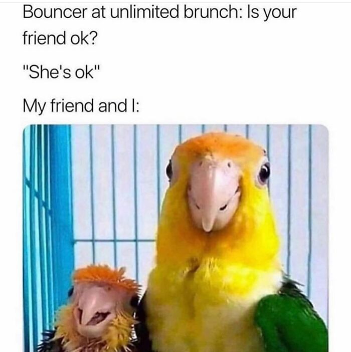 80 Hilarious And Relatable Posts From “Sky Babe Memes” 80 Hilarious And Relatable Posts From “Sky Babe Memes”