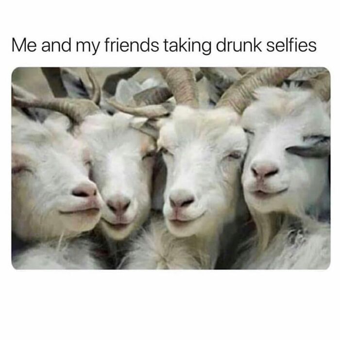 80 Hilarious And Relatable Posts From “Sky Babe Memes” 80 Hilarious And Relatable Posts From “Sky Babe Memes”