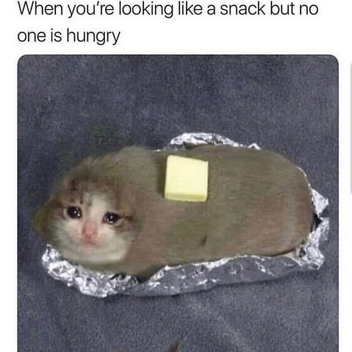 80 Hilarious And Relatable Posts From “Sky Babe Memes” 80 Hilarious And Relatable Posts From “Sky Babe Memes”
