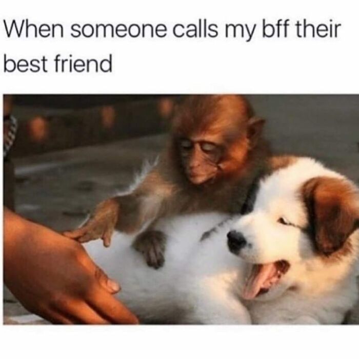 80 Hilarious And Relatable Posts From “Sky Babe Memes” 80 Hilarious And Relatable Posts From “Sky Babe Memes”