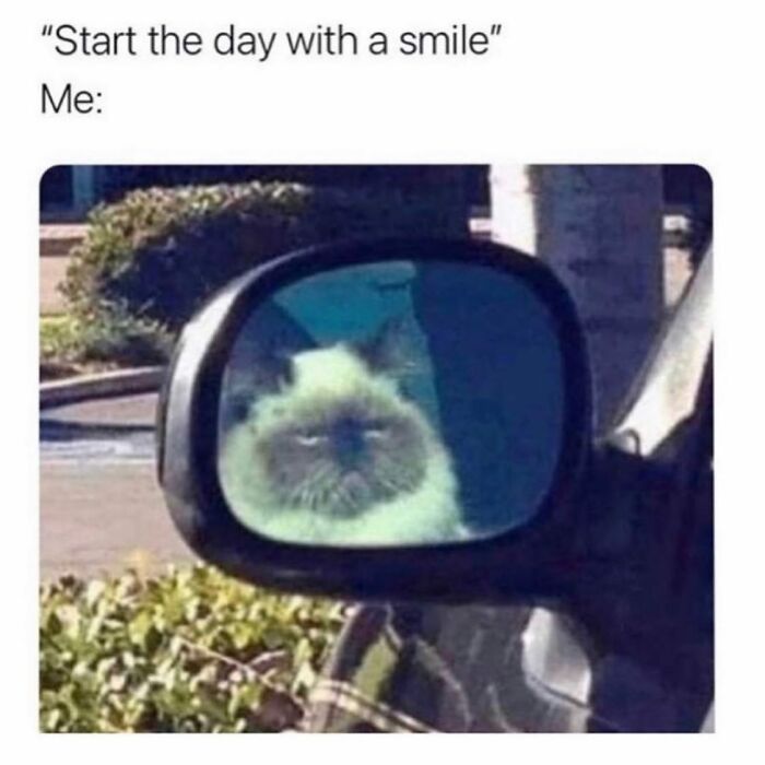 80 Hilarious And Relatable Posts From “Sky Babe Memes” 80 Hilarious And Relatable Posts From “Sky Babe Memes”