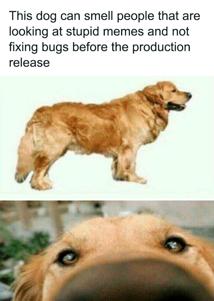 80 Hilarious Programming Memes That Prove Debugging Is A Universal Struggle (New Pics) 80 Hilarious Programming Memes That Prove Debugging Is A Universal Struggle (New Pics)