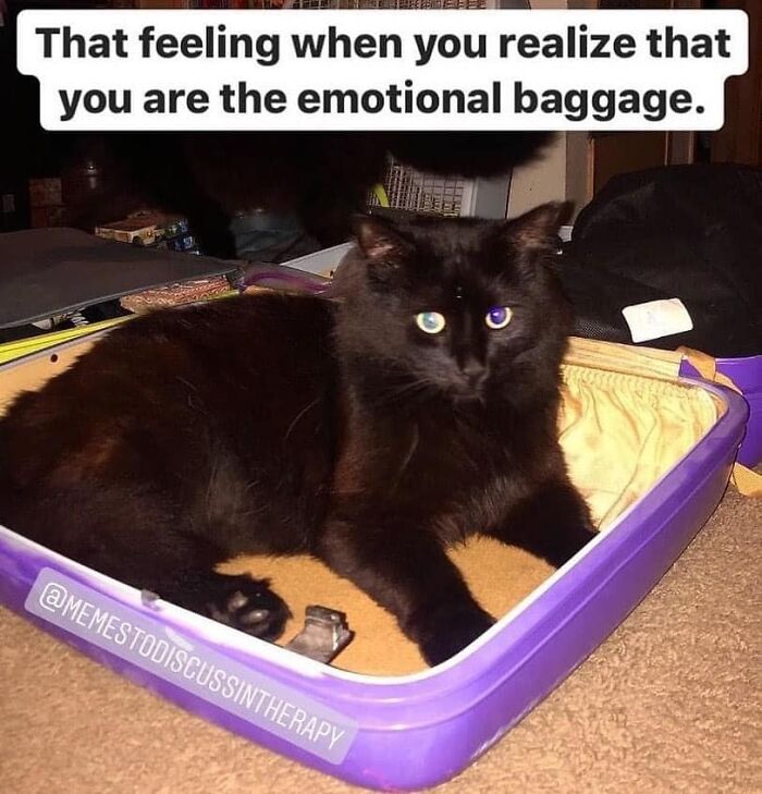 80 Funny And Painfully Relatable Memes To Laugh At Instead Of Crying (New Pics) 80 Funny And Painfully Relatable Memes To Laugh At Instead Of Crying (New Pics)