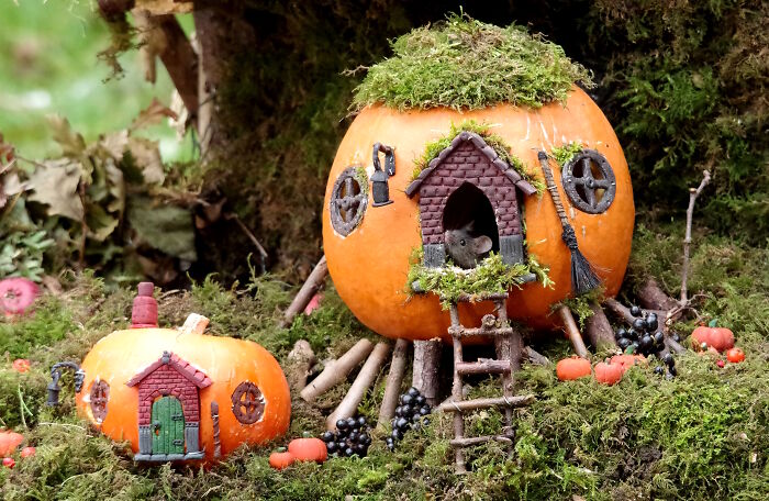 I Started Building Tiny Homes For Wild Mice, Now They Have A Halloween Village (29 Pics) I Started Building Tiny Homes For Wild Mice, Now They Have A Halloween Village (29 Pics)