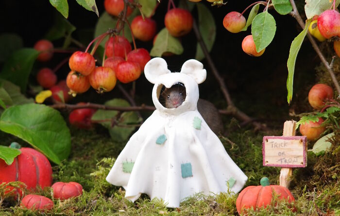 I Started Building Tiny Homes For Wild Mice, Now They Have A Halloween Village (29 Pics) I Started Building Tiny Homes For Wild Mice, Now They Have A Halloween Village (29 Pics)