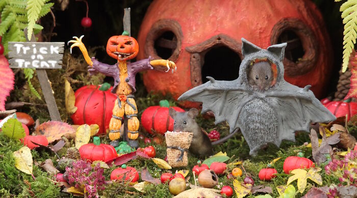 I Started Building Tiny Homes For Wild Mice, Now They Have A Halloween Village (29 Pics) I Started Building Tiny Homes For Wild Mice, Now They Have A Halloween Village (29 Pics)