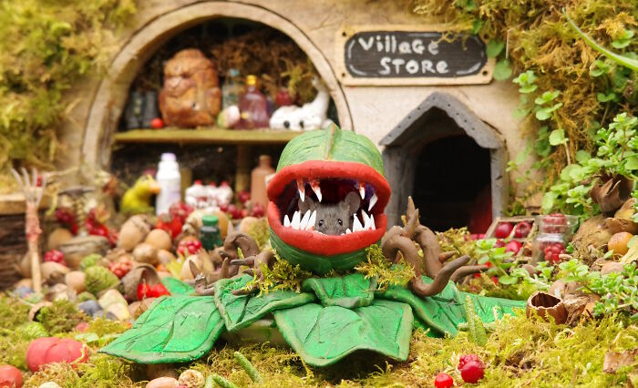 I Started Building Tiny Homes For Wild Mice, Now They Have A Halloween Village (29 Pics) I Started Building Tiny Homes For Wild Mice, Now They Have A Halloween Village (29 Pics)