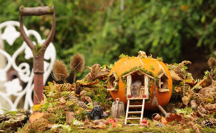 I Started Building Tiny Homes For Wild Mice, Now They Have A Halloween Village (29 Pics) I Started Building Tiny Homes For Wild Mice, Now They Have A Halloween Village (29 Pics)
