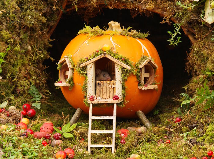 I Started Building Tiny Homes For Wild Mice, Now They Have A Halloween Village (29 Pics) I Started Building Tiny Homes For Wild Mice, Now They Have A Halloween Village (29 Pics)