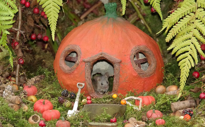 I Started Building Tiny Homes For Wild Mice, Now They Have A Halloween Village (29 Pics) I Started Building Tiny Homes For Wild Mice, Now They Have A Halloween Village (29 Pics)