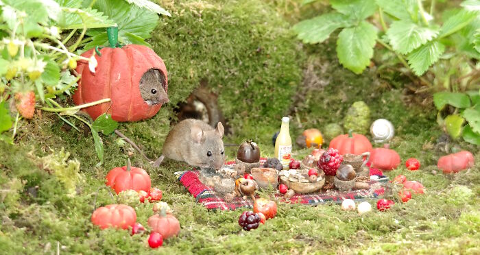 I Started Building Tiny Homes For Wild Mice, Now They Have A Halloween Village (29 Pics) I Started Building Tiny Homes For Wild Mice, Now They Have A Halloween Village (29 Pics)