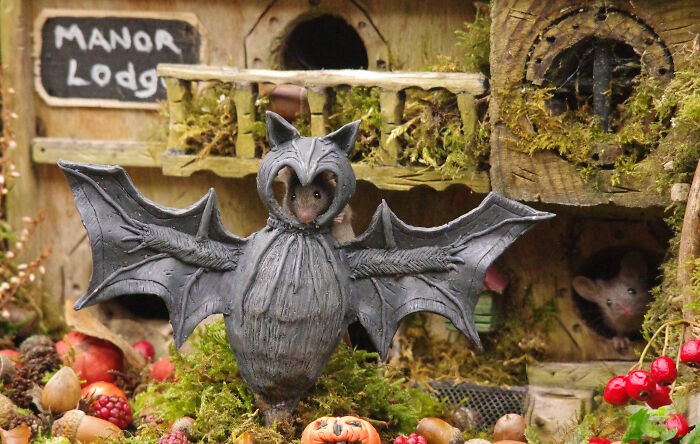 I Started Building Tiny Homes For Wild Mice, Now They Have A Halloween Village (29 Pics) I Started Building Tiny Homes For Wild Mice, Now They Have A Halloween Village (29 Pics)