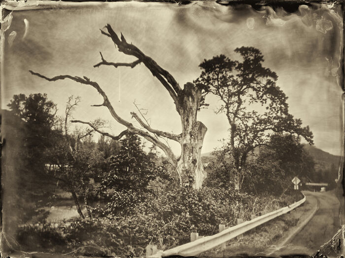 I Followed Oregon’s Tragic 1856 “Trail Of Tears” And Documented It With The Same Photo Process From That Era I Followed Oregon’s Tragic 1856 “Trail Of Tears” And Documented It With The Same Photo Process From That Era