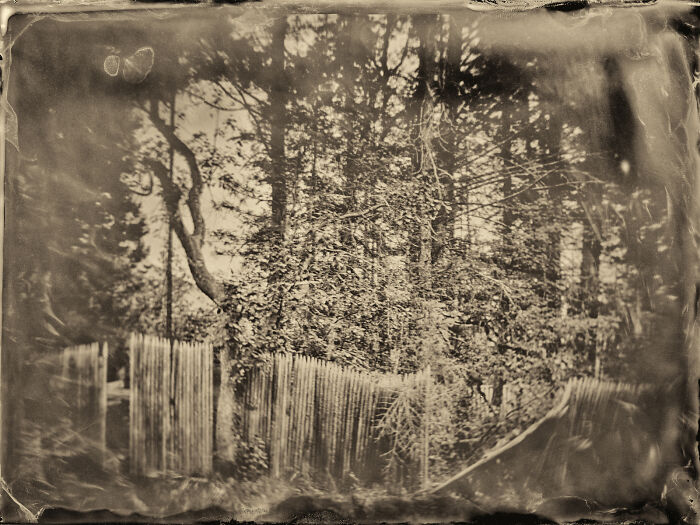 I Followed Oregon’s Tragic 1856 “Trail Of Tears” And Documented It With The Same Photo Process From That Era I Followed Oregon’s Tragic 1856 “Trail Of Tears” And Documented It With The Same Photo Process From That Era