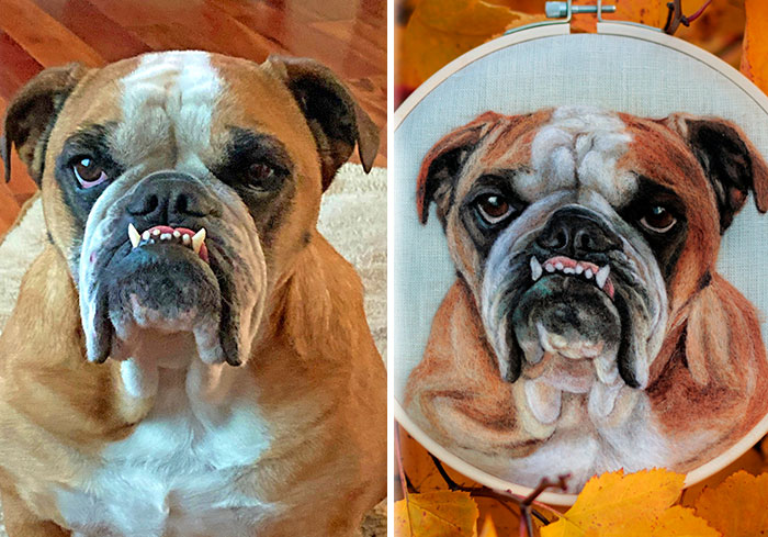 40 Handmade Pet Portraits That Capture Every Fluff And Whisker 40 Handmade Pet Portraits That Capture Every Fluff And Whisker