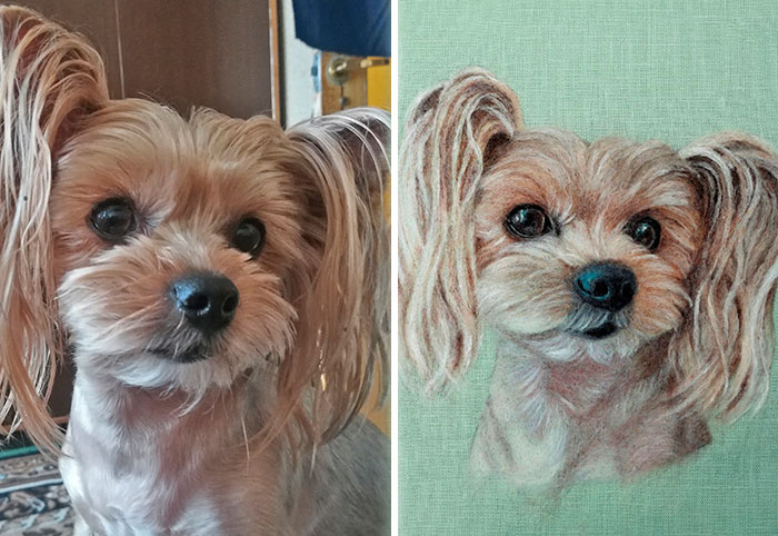 40 Handmade Pet Portraits That Capture Every Fluff And Whisker 40 Handmade Pet Portraits That Capture Every Fluff And Whisker